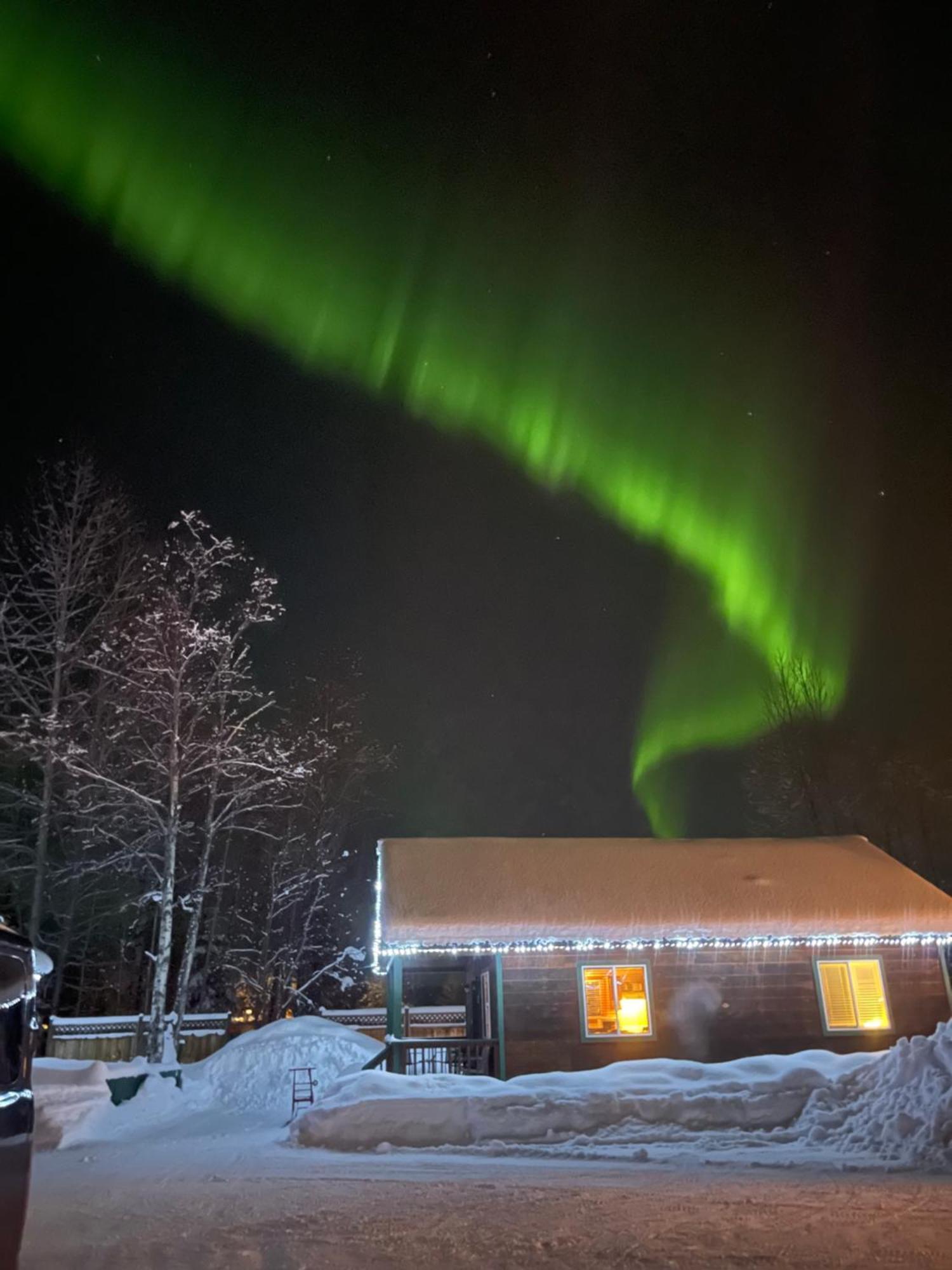 Chinook Wind Cabins Talkeetna Buitenkant foto